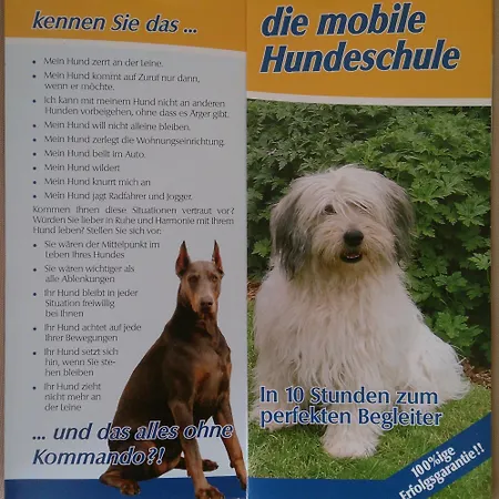 Hotelpension Schwalbennest Konukevi Benz (Usedom)