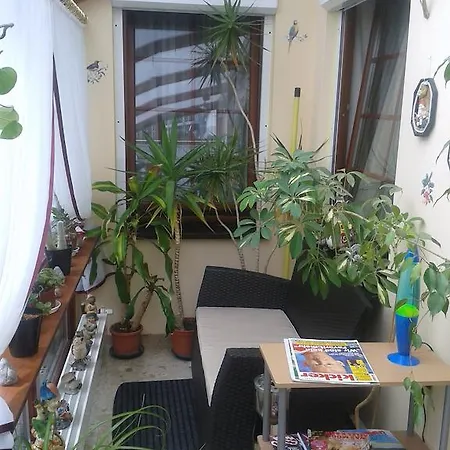Hotelpension Schwalbennest Konukevi 3*
